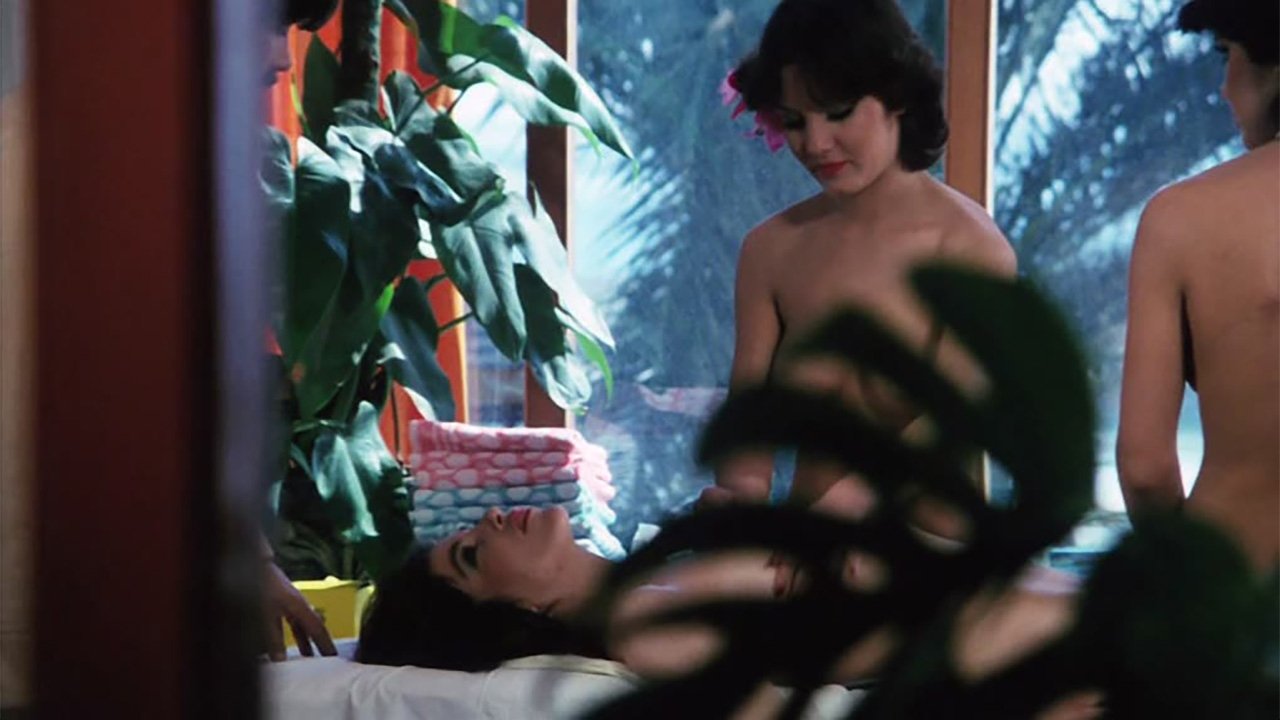 The Story of Linda backdrop