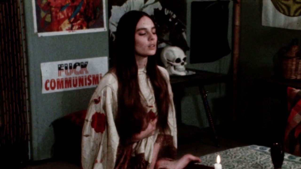 Have You Ever Been on a Trip? backdrop