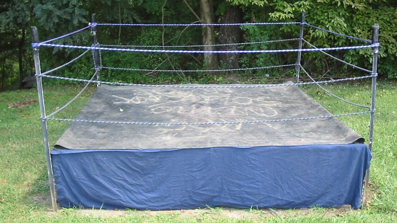 Backyard Dogs backdrop