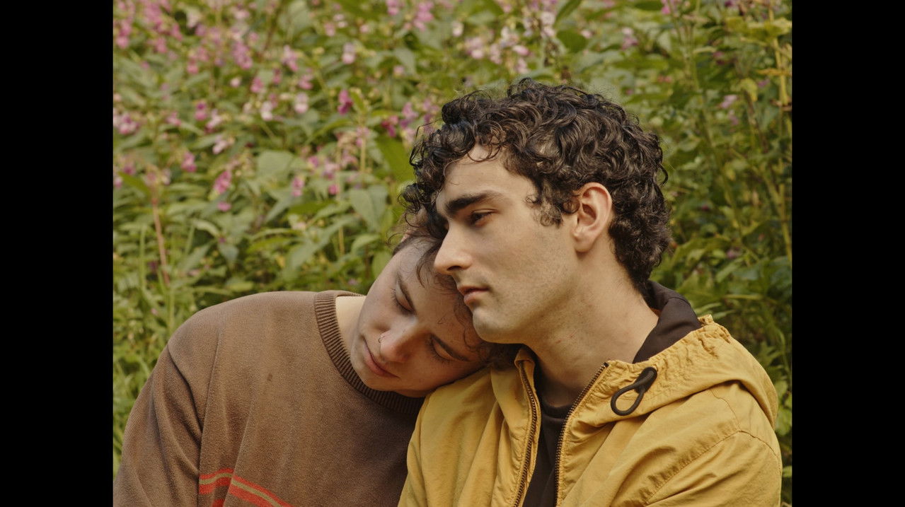 What You Need backdrop