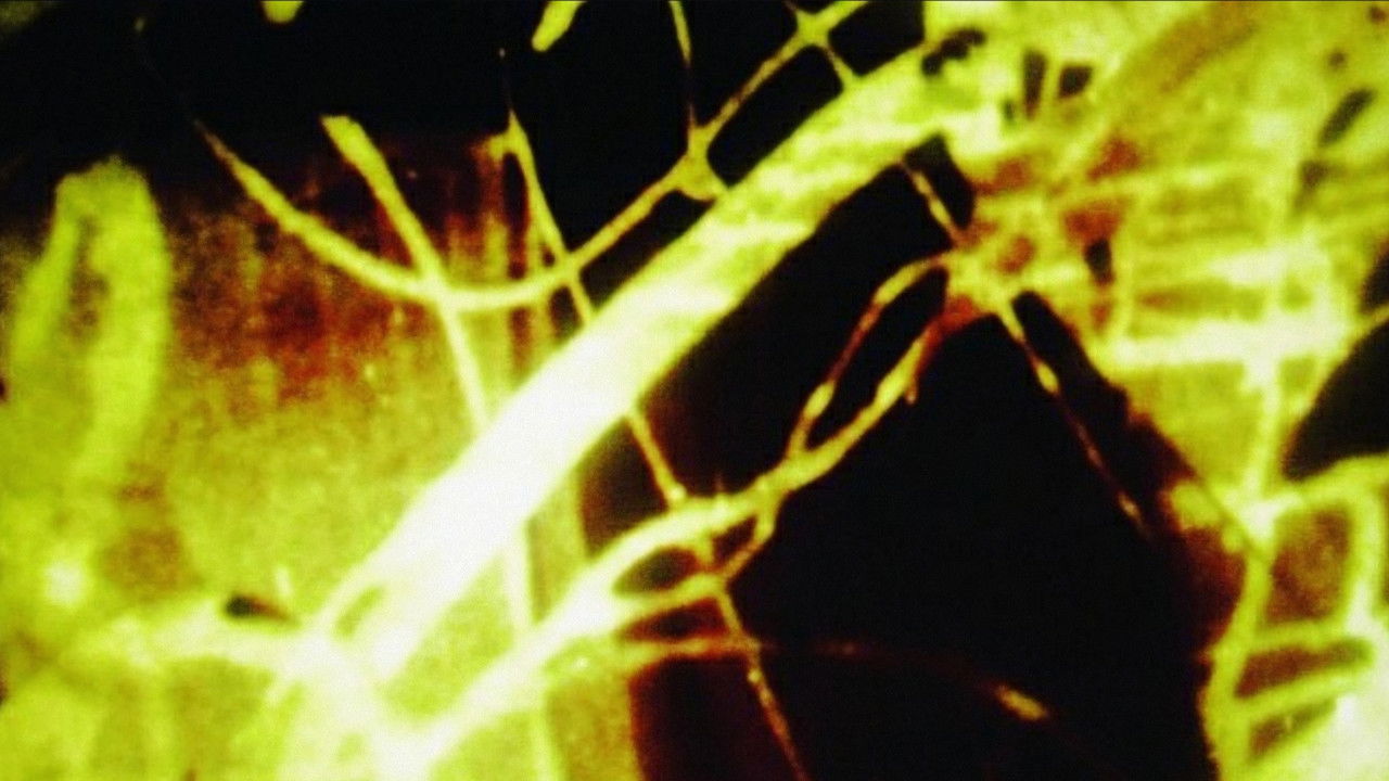 All That Rises backdrop