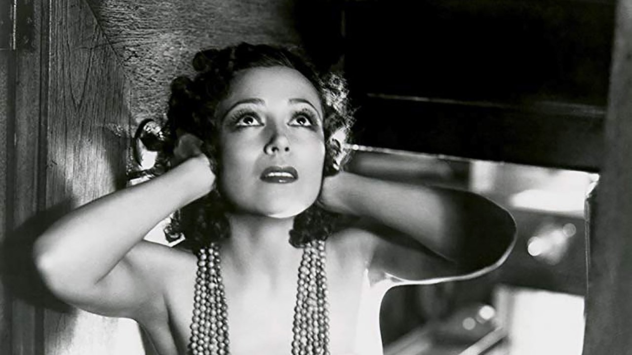 Bird of Paradise backdrop