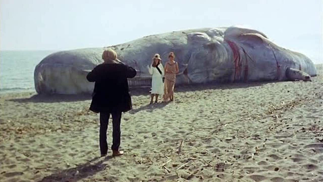 The Seed of Man backdrop