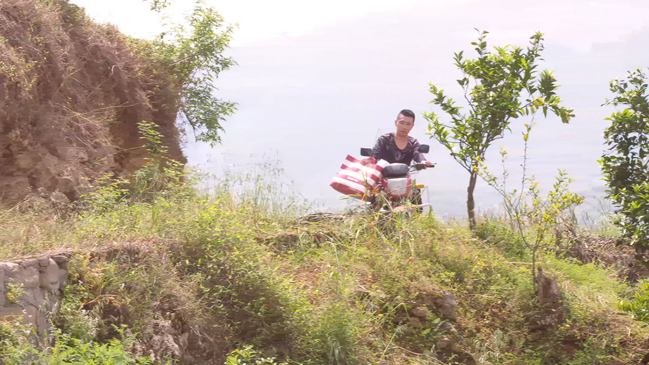 Kung Fu Baby backdrop