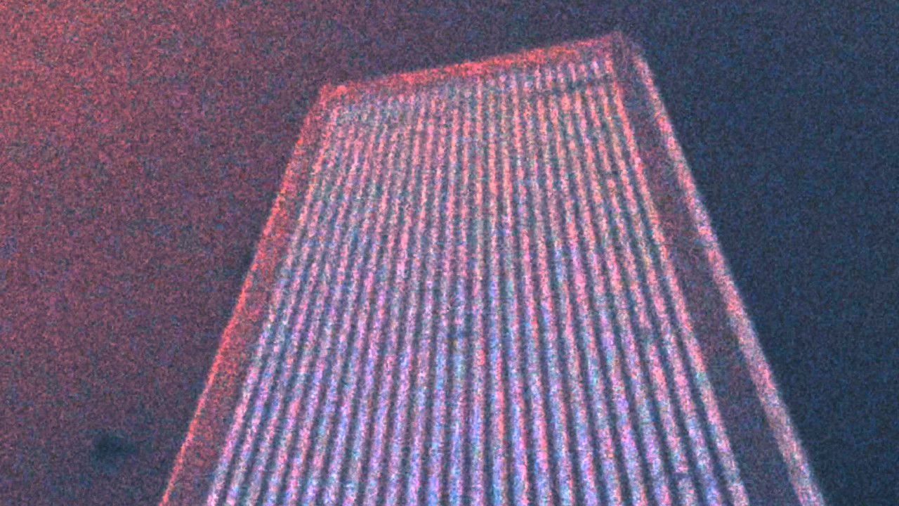 Animal Breathing backdrop