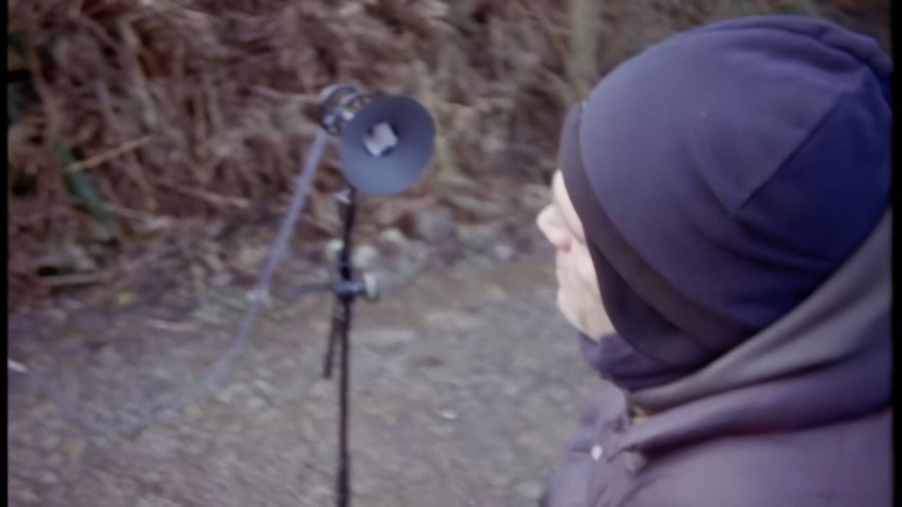 The Peter Plan backdrop