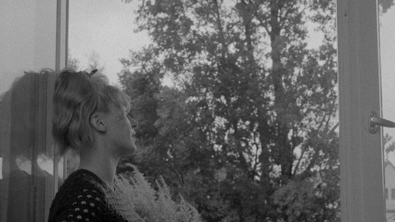 The Bridegroom, the Actress, and the Pimp backdrop