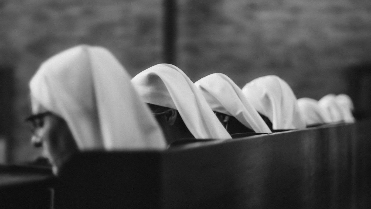 Within the Habit backdrop