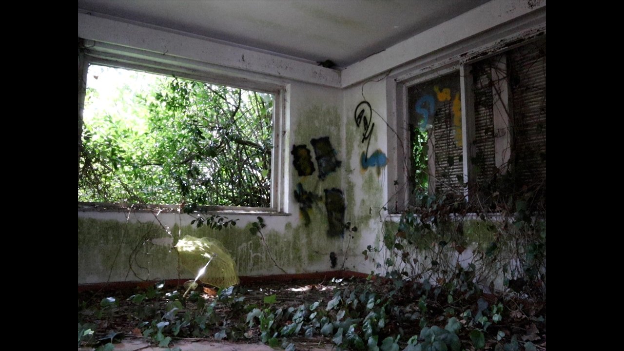 AA-PROXIMA-SUN backdrop