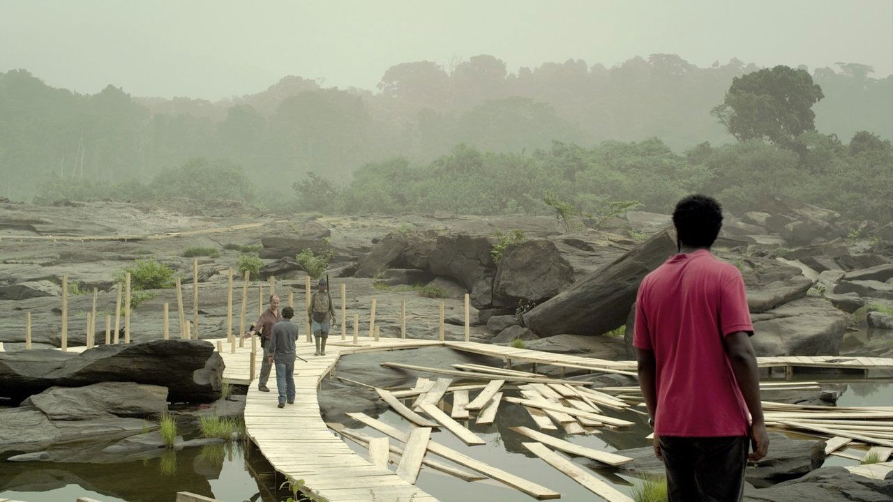 Sleeping Sickness backdrop