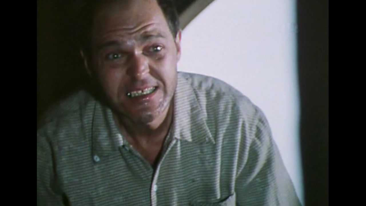 Джамайка backdrop