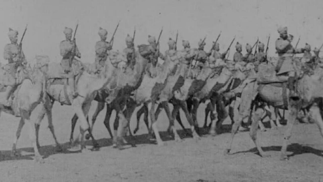 Delhi Durbar backdrop