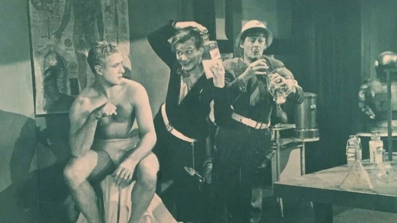 Boobs in the Night backdrop