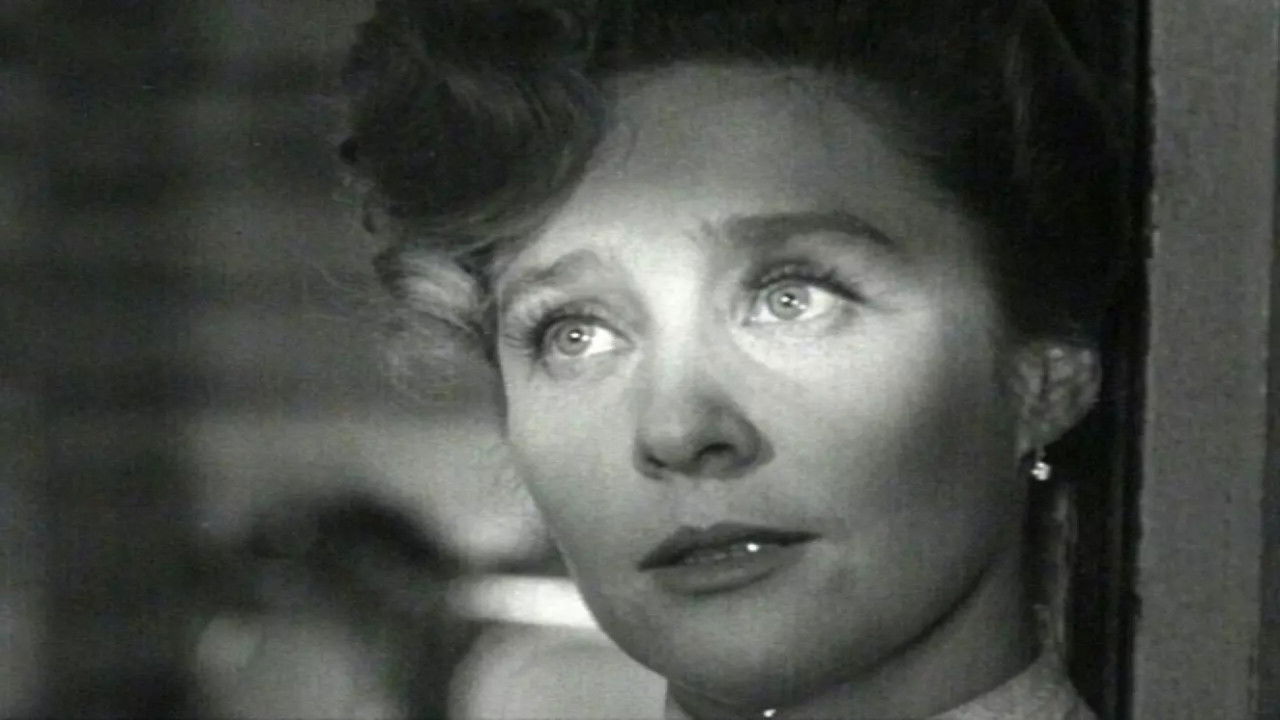 Summer Residents backdrop