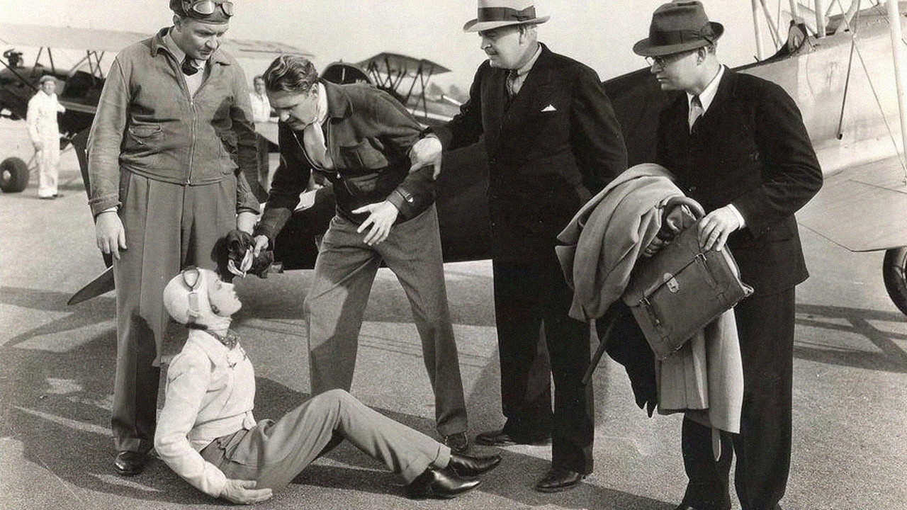 Roaming Lady backdrop