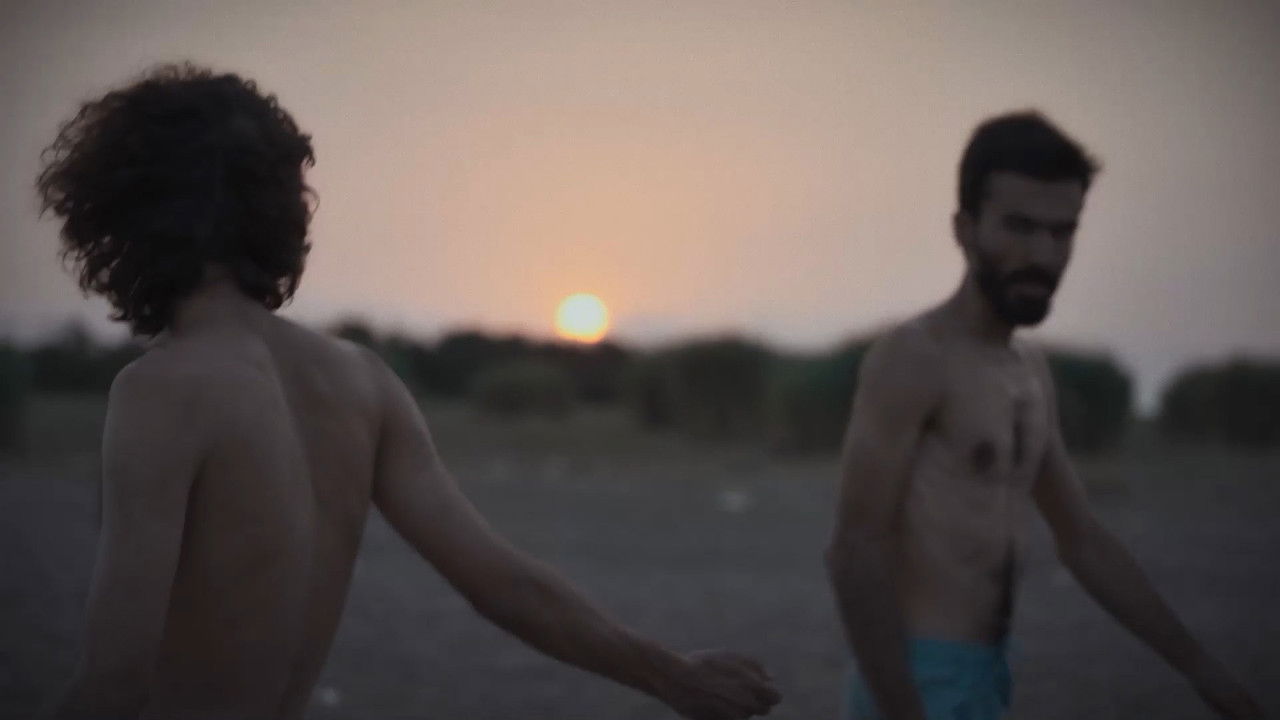 Cesarean Weekend backdrop