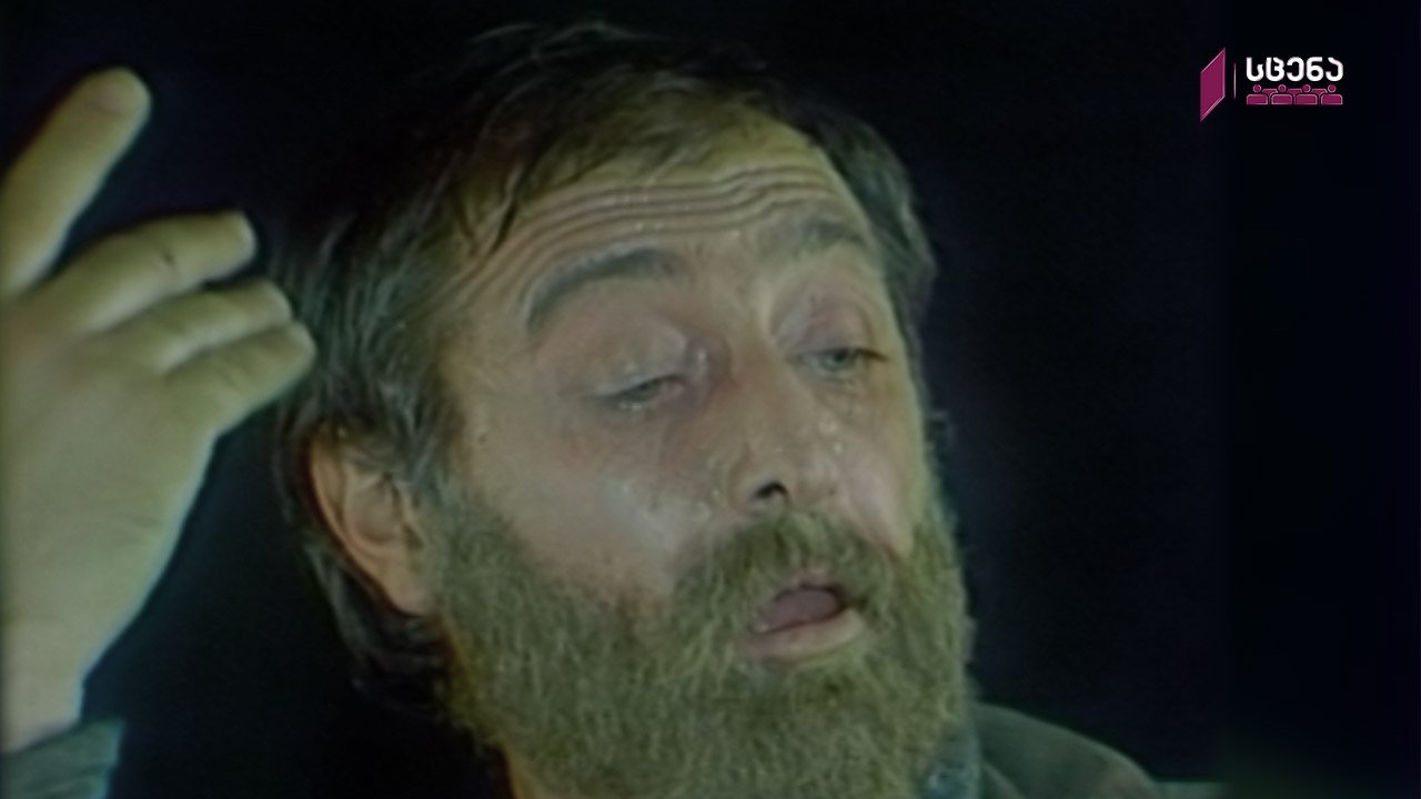 A Holiday of Solitude backdrop