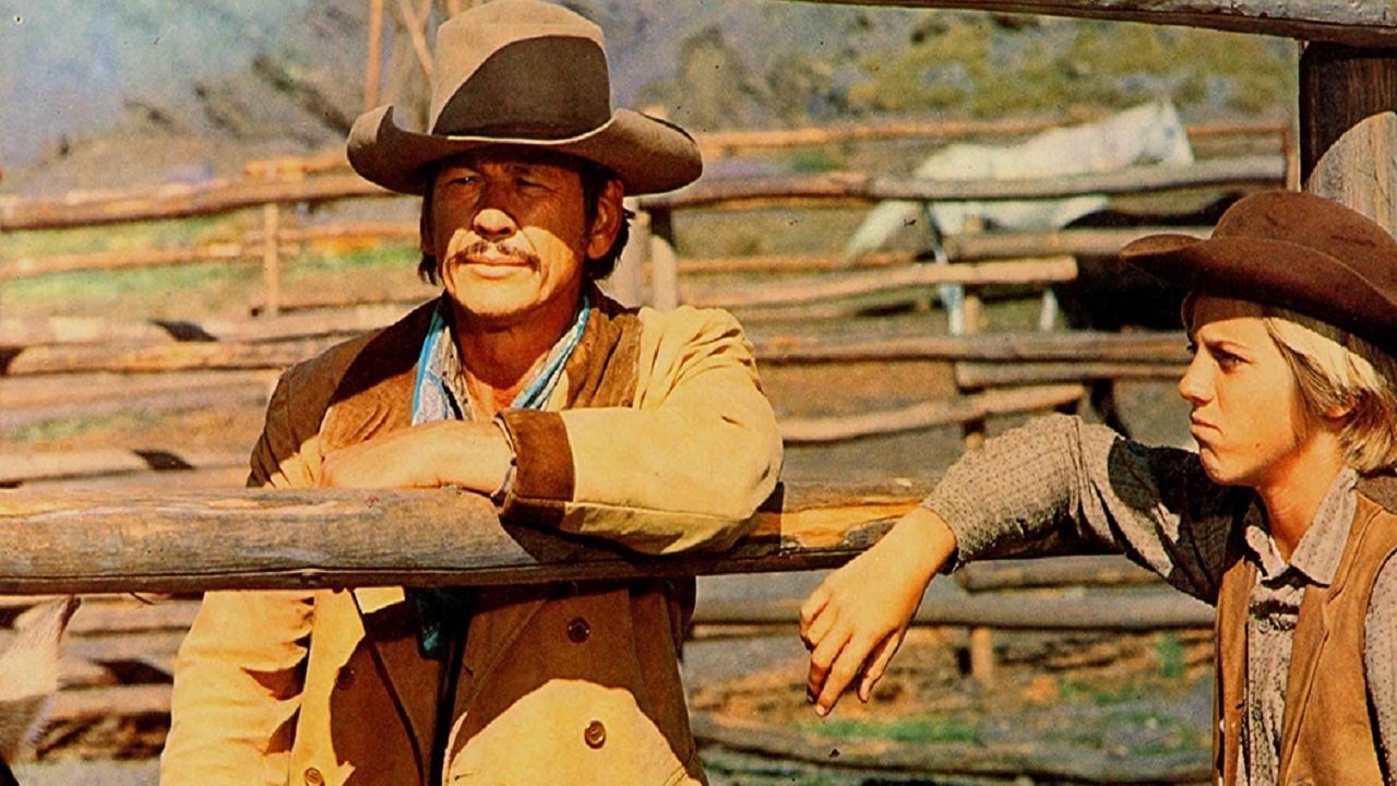 The Valdez Horses backdrop