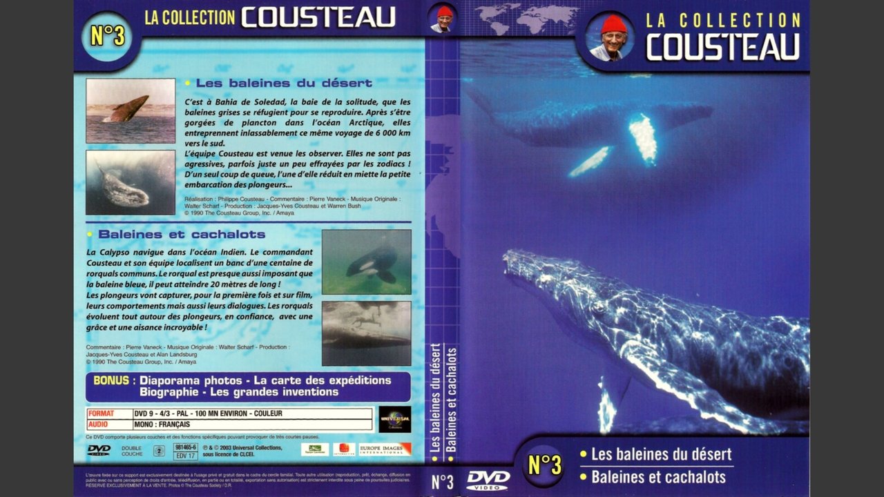 The Cousteau Collection N°3-1 | Desert Whales backdrop