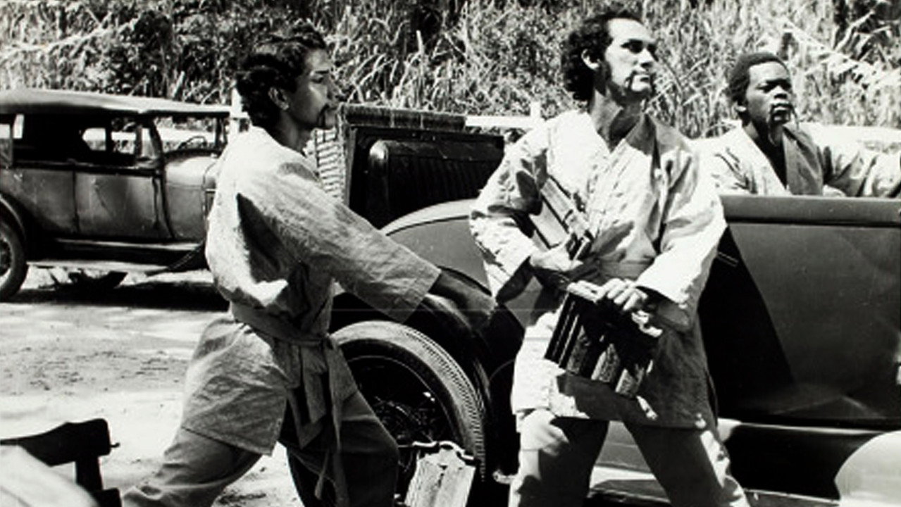 Robin Hood - The Trapalhão of the Forest backdrop