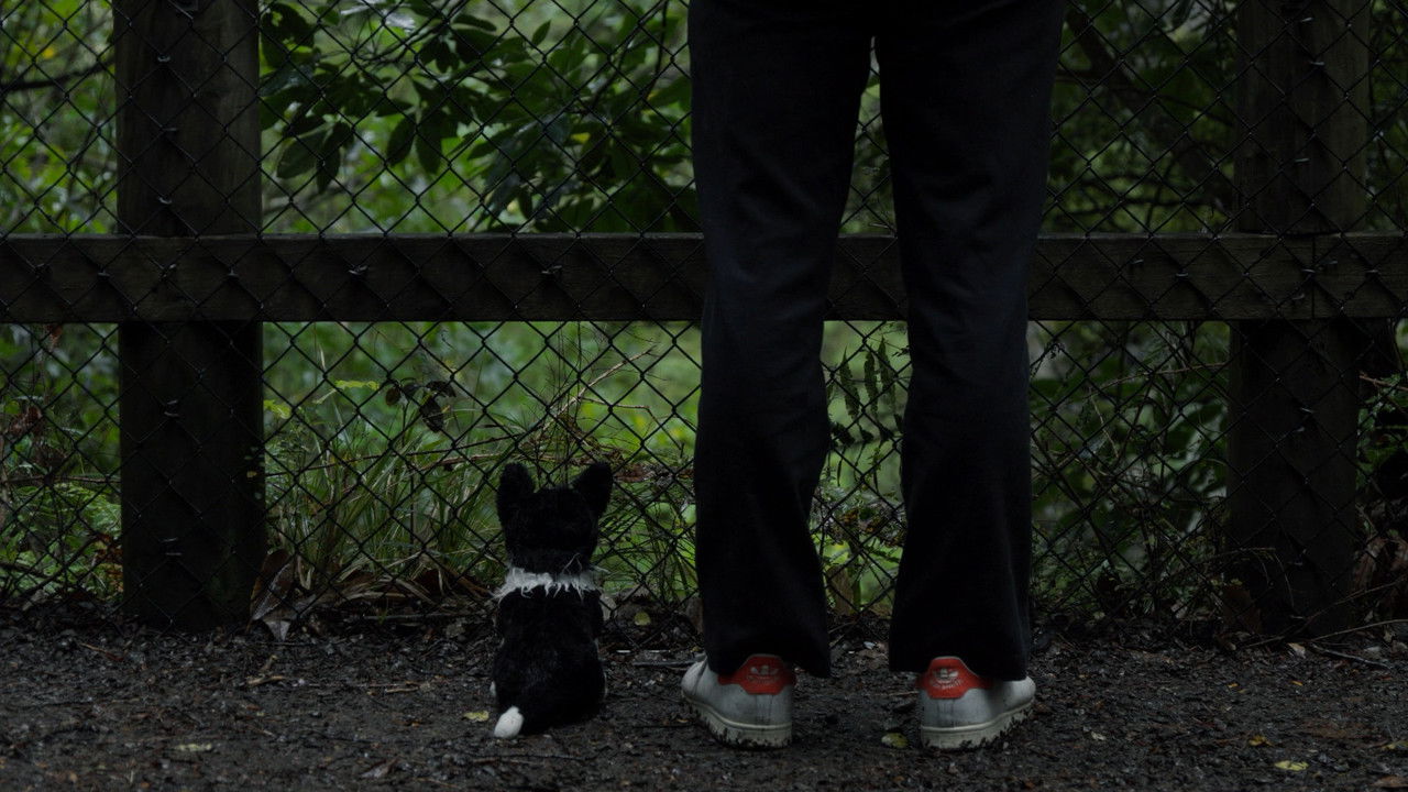 Forget Me Not backdrop