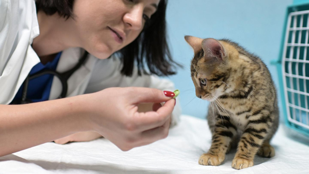That's Amore backdrop