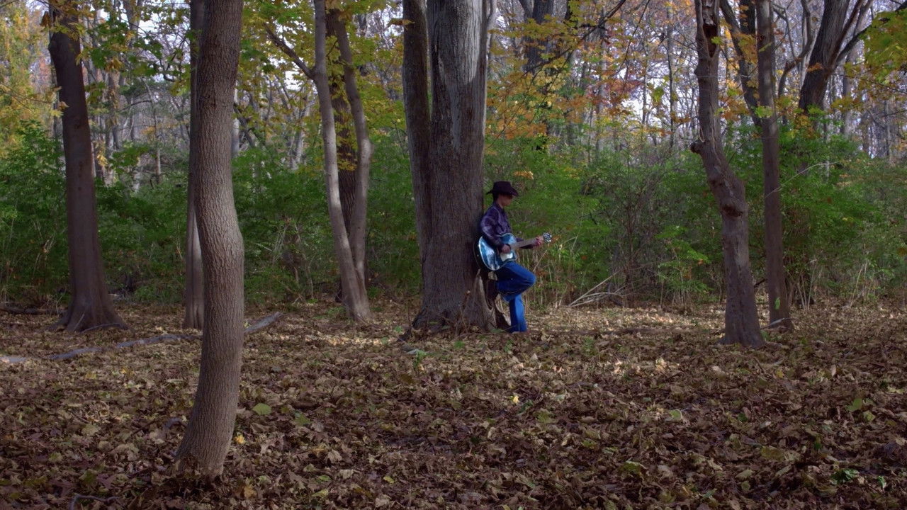 The Devil Went Down to Georgia backdrop