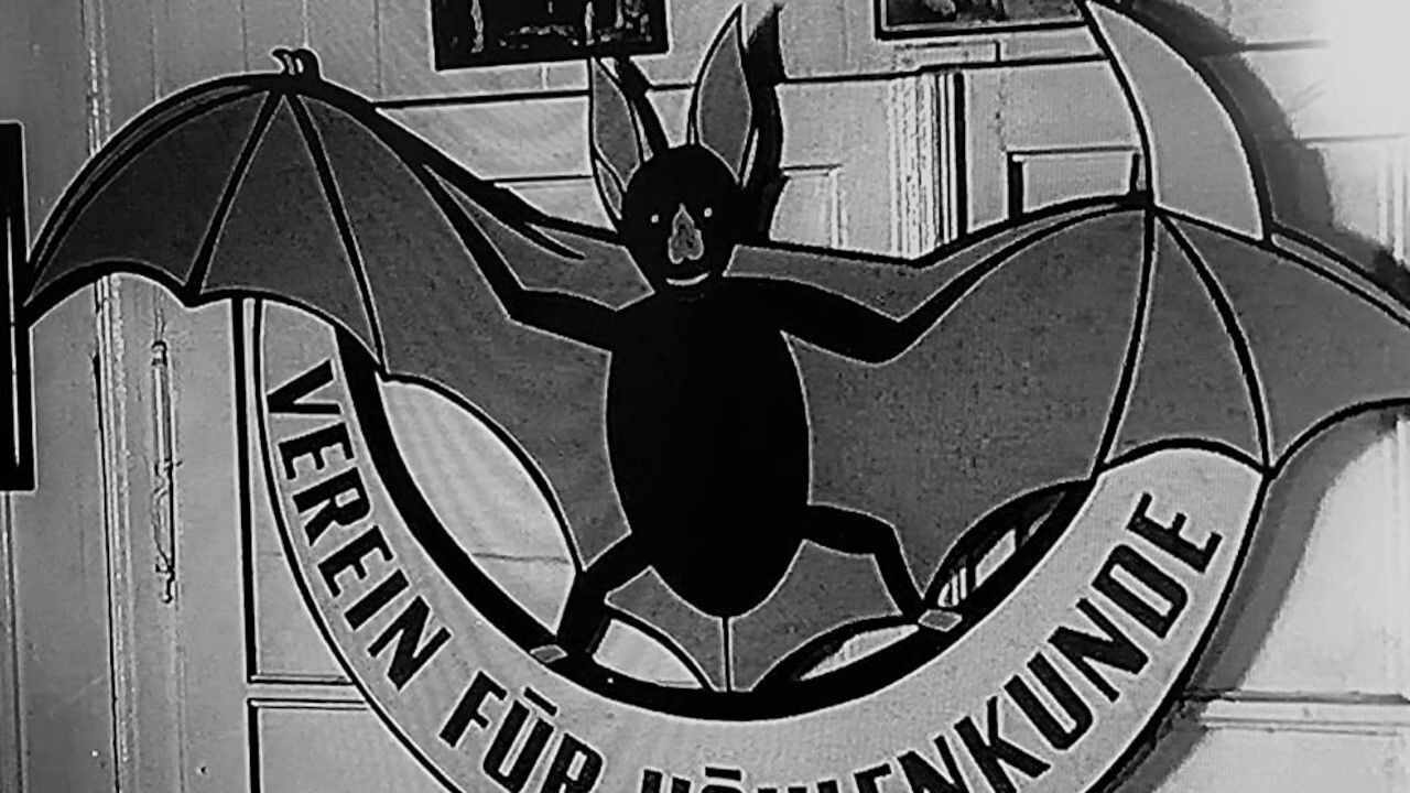 Cave Explorers backdrop