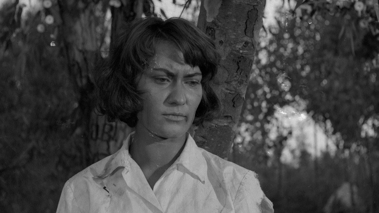 The Guerrilla Unit backdrop