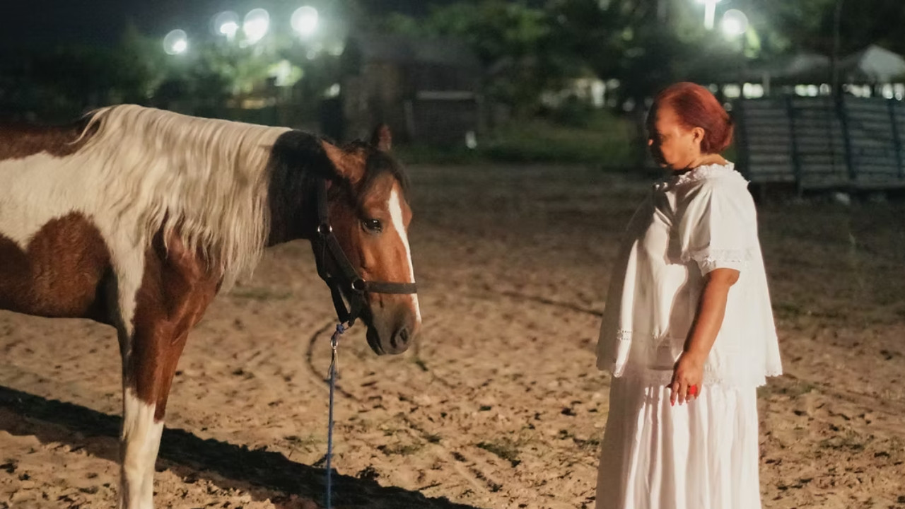 Axé meu amor backdrop