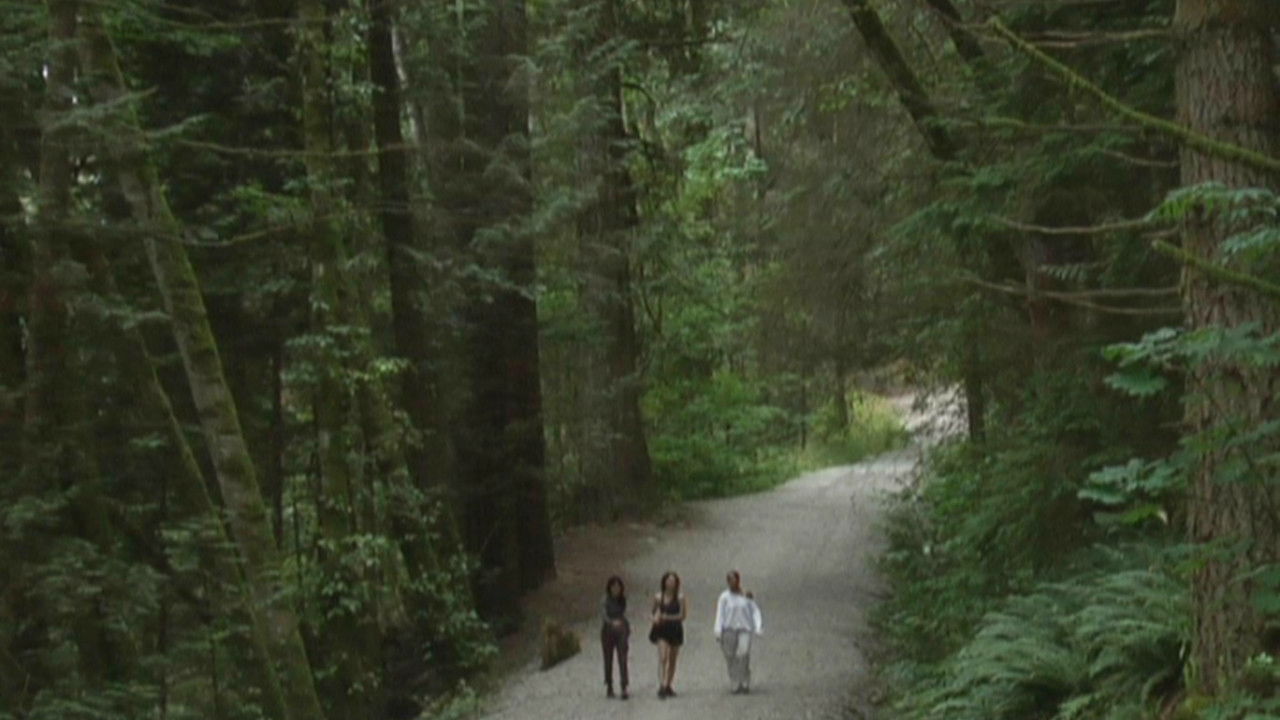 You Hide in Hope backdrop