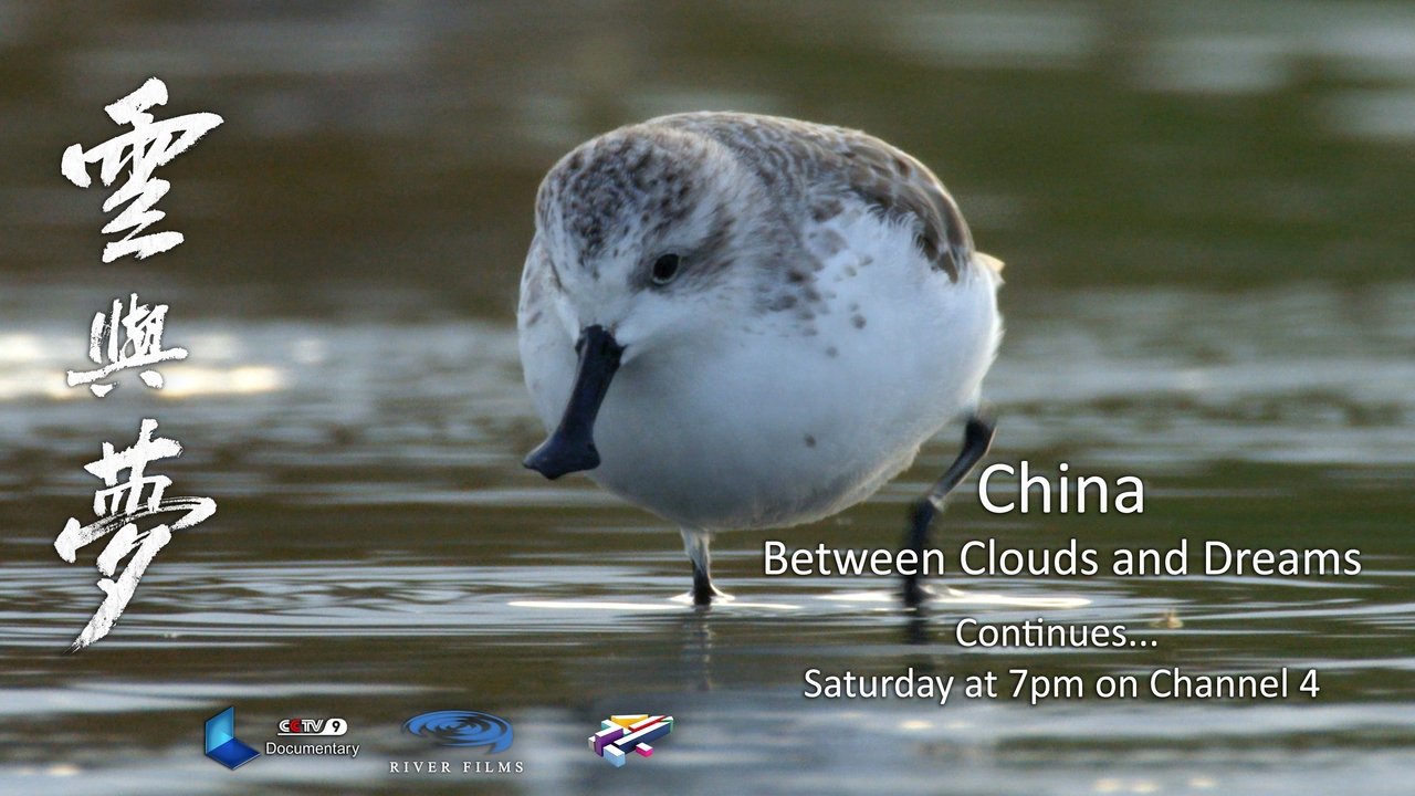 China: Between Clouds and Dreams backdrop