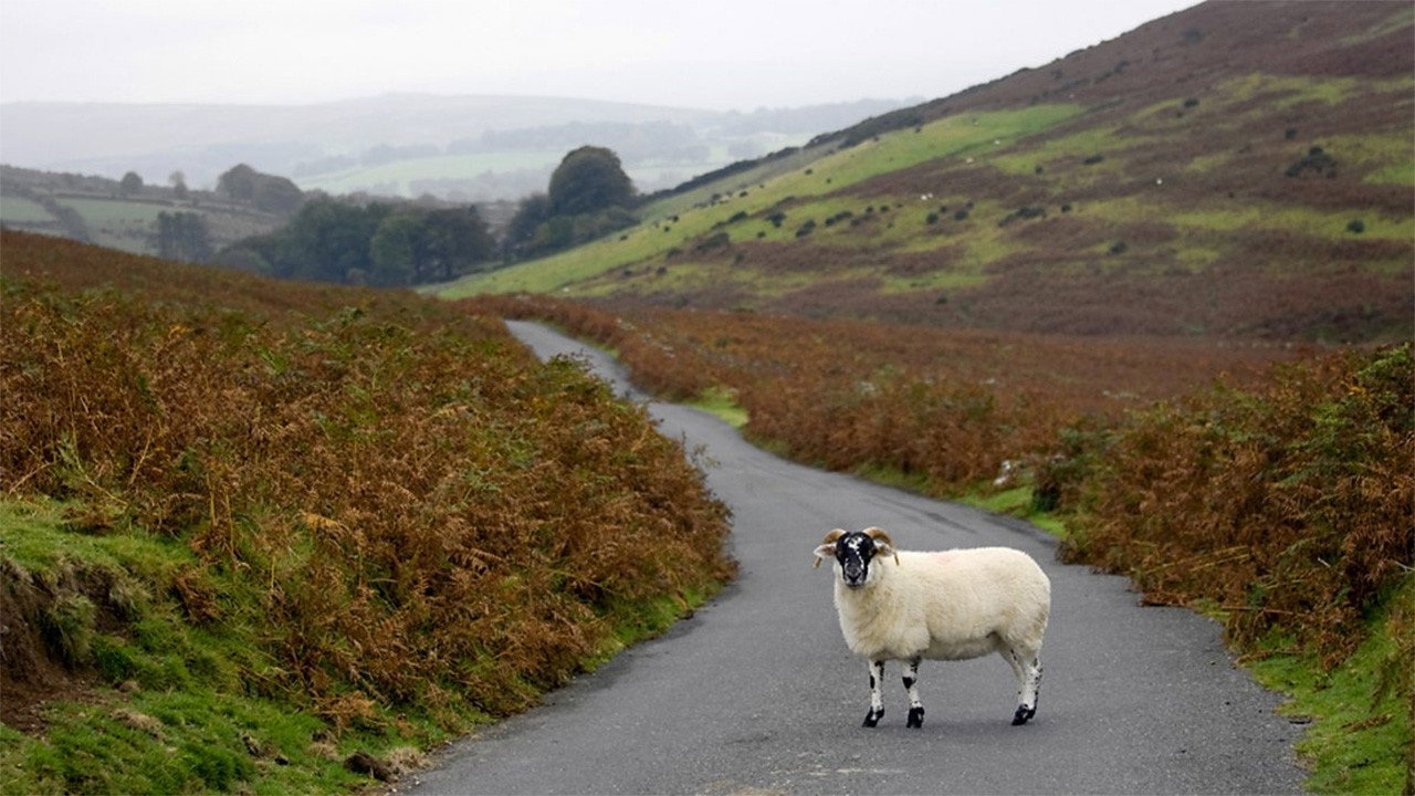 Bill Bryson Notes from a Small Island backdrop