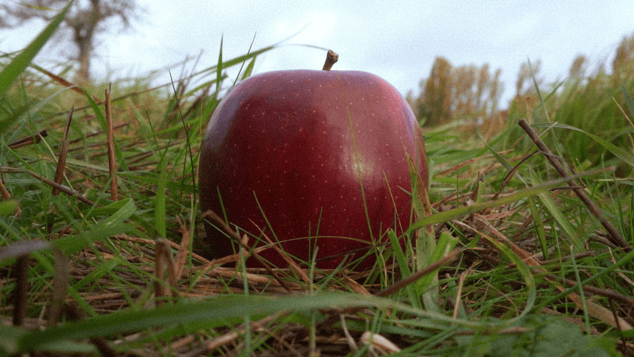 Violente décline backdrop