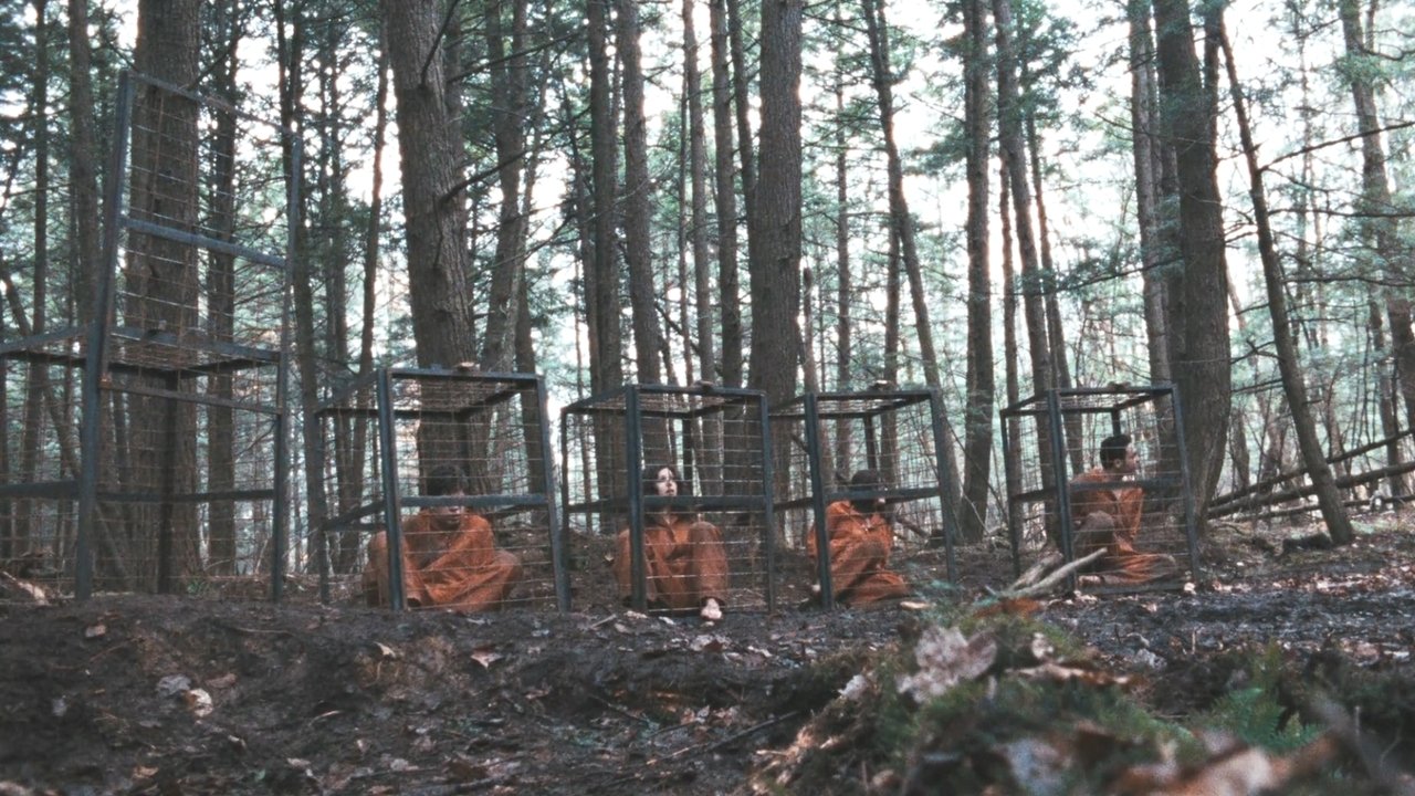 Territories backdrop