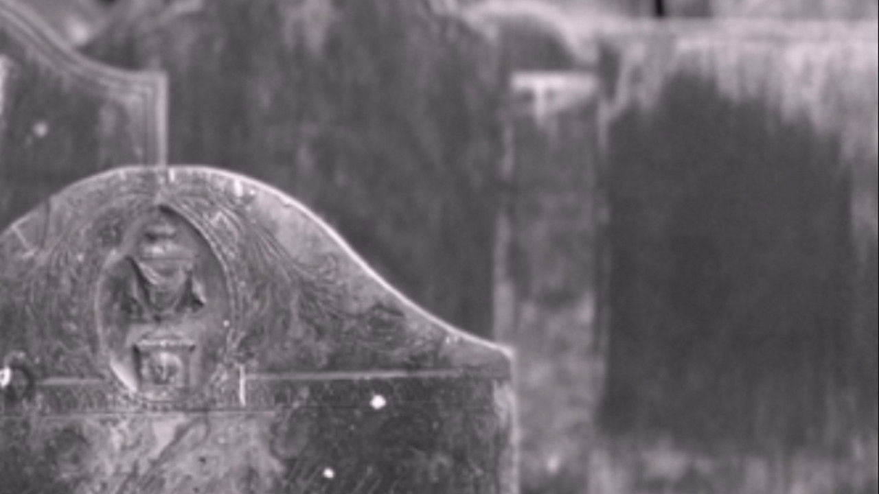 Eternity's Void backdrop