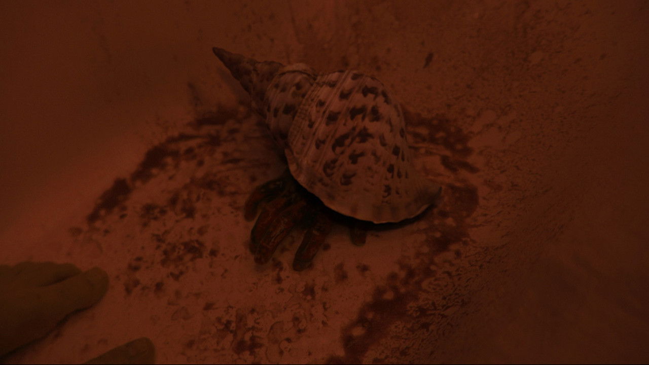 Whispers of the Waves backdrop