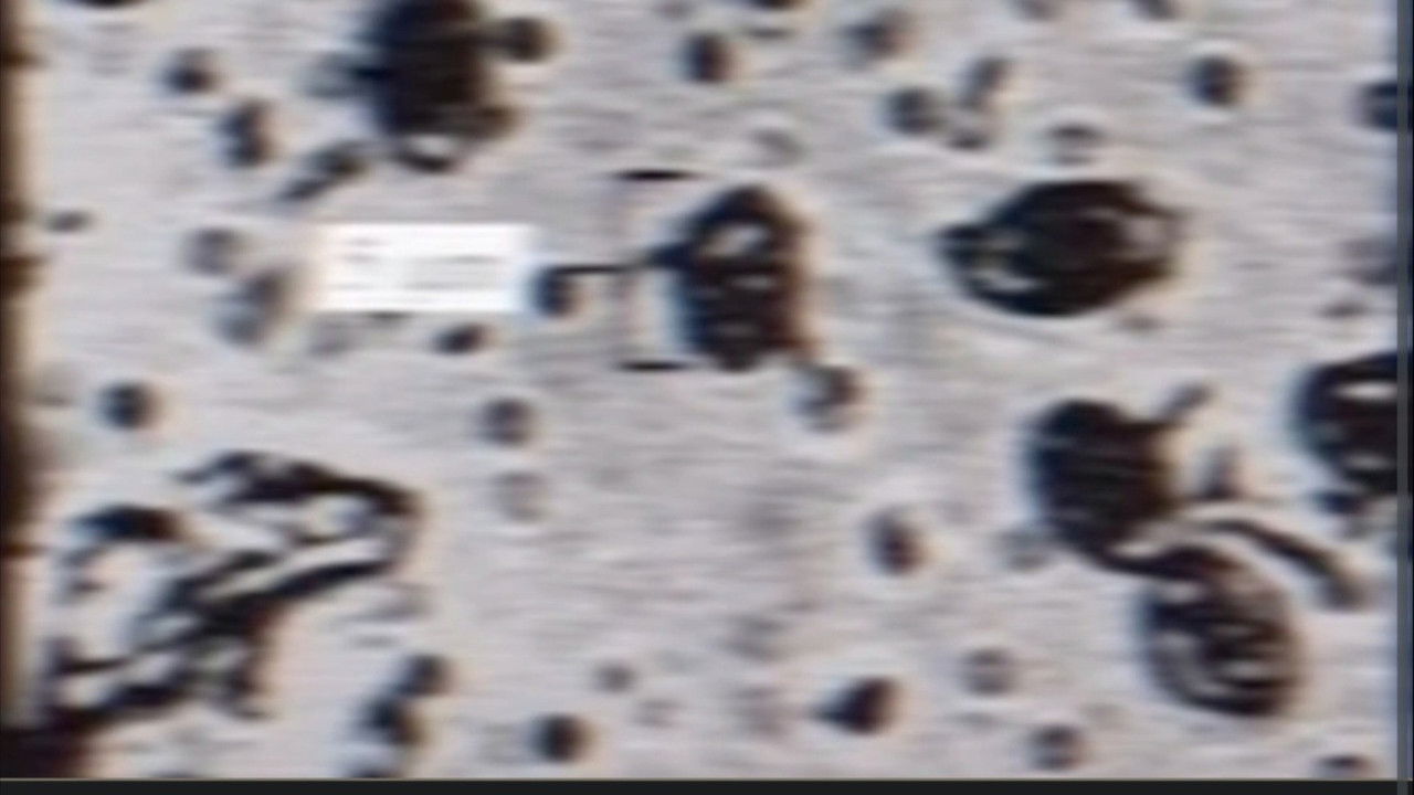 The SMILE Tapes backdrop