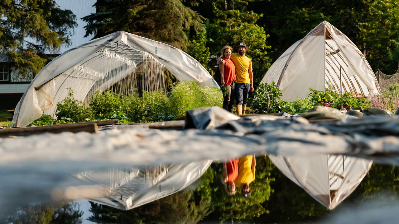 Farming Turns backdrop