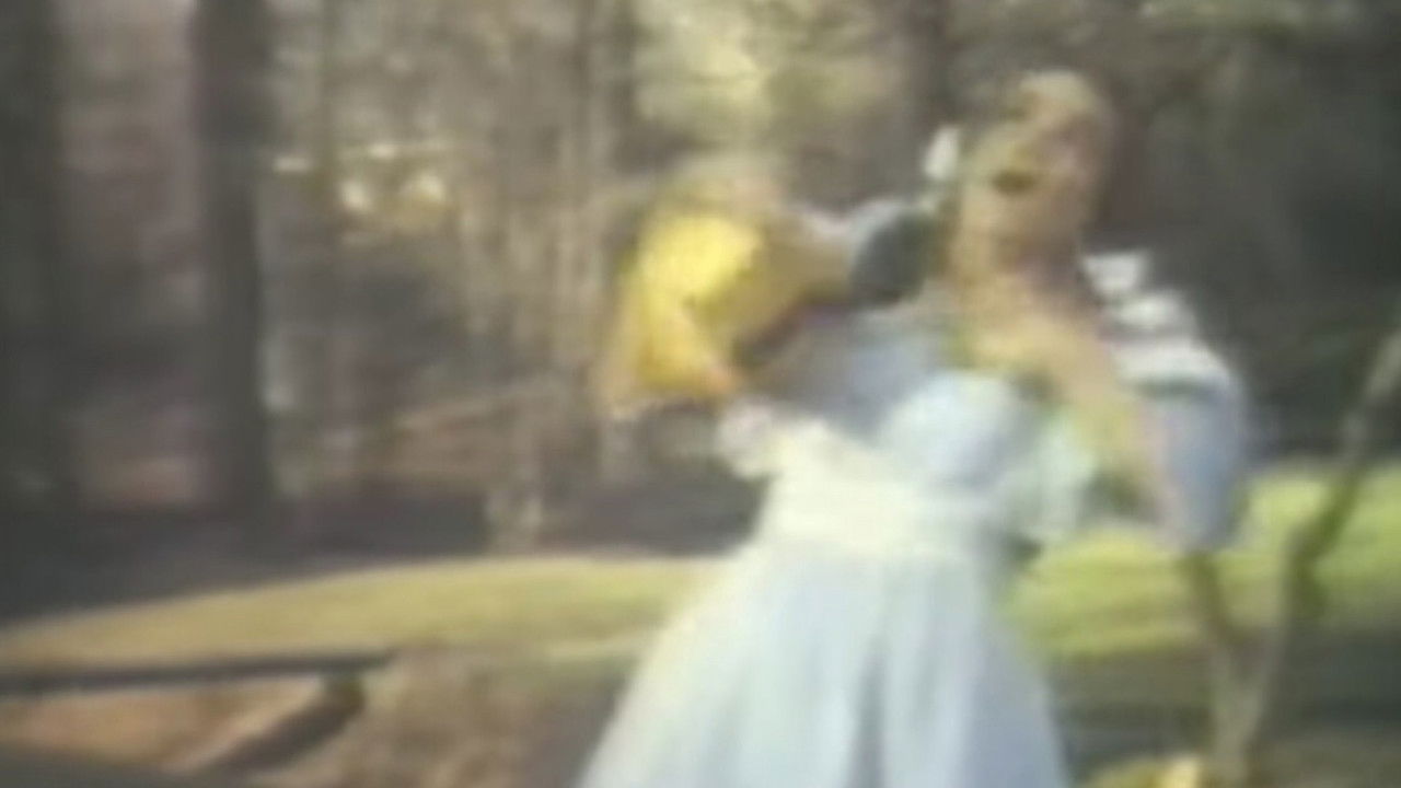 Dorothy, the Kansas City Pot Head backdrop