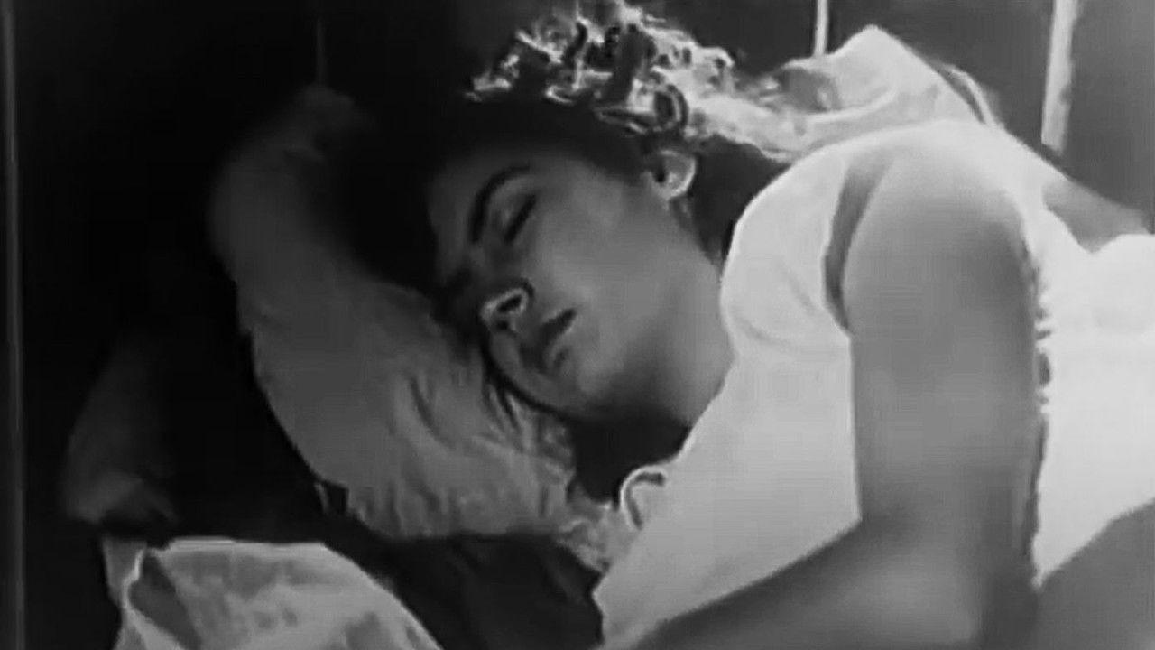 Birds Without a Nest backdrop