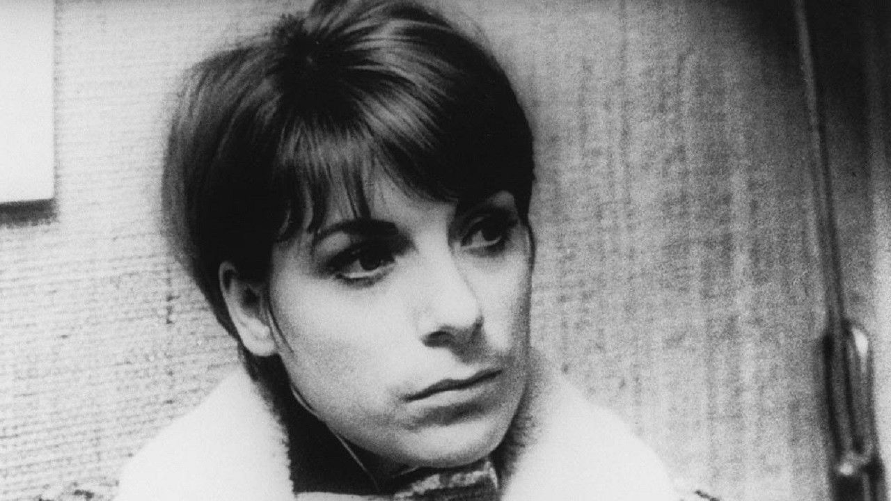 Artists Under the Big Top: Perplexed backdrop