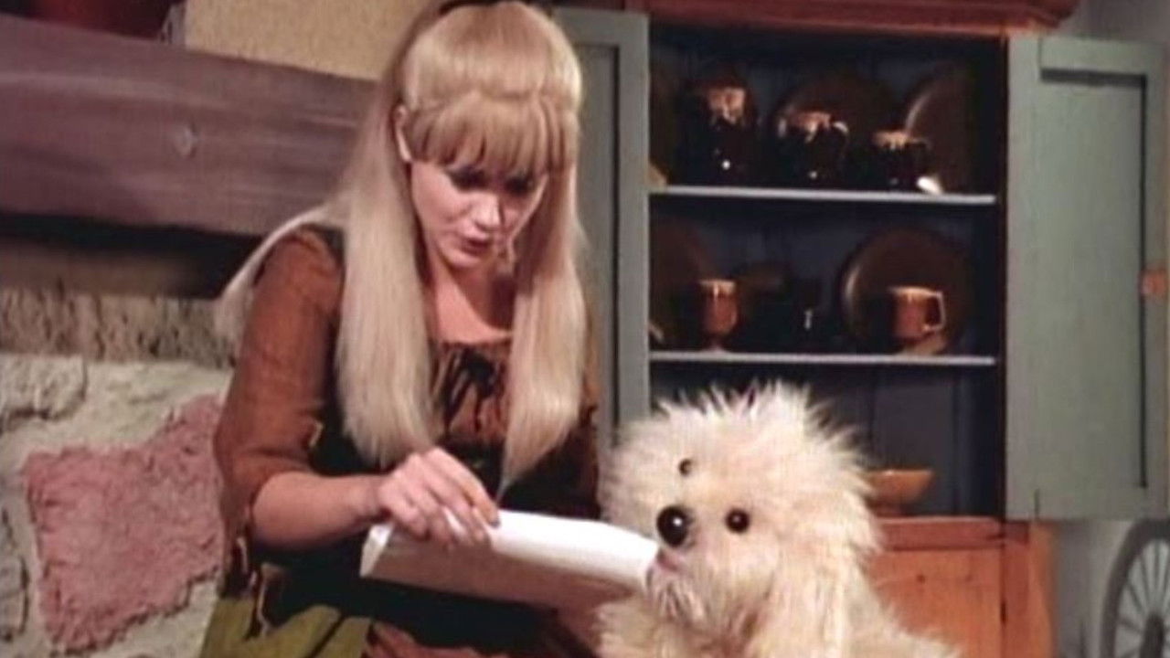 Hey Cinderella! backdrop