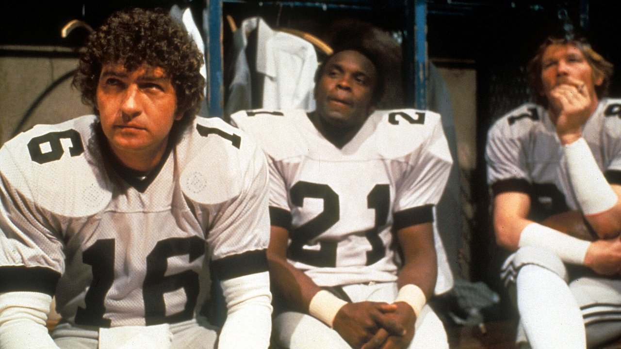 North Dallas Forty backdrop