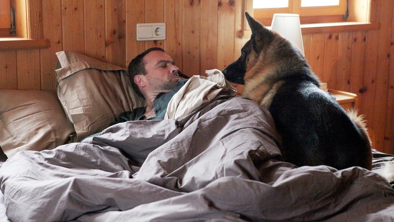 Kommissar Rex - Eiszeit backdrop