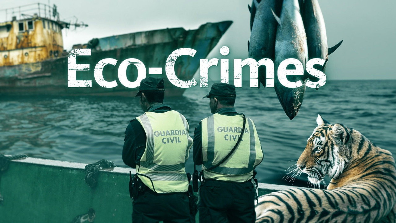 Eco-Crimes backdrop