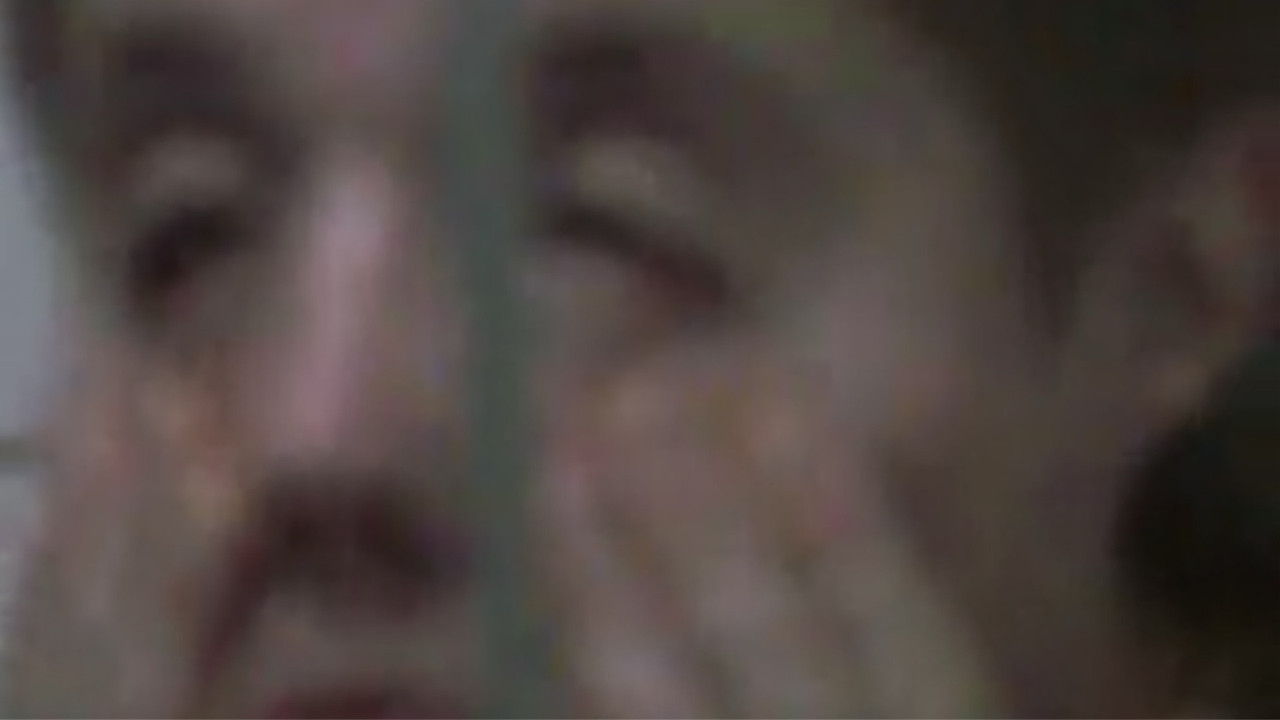 Rabbit on a Highway backdrop