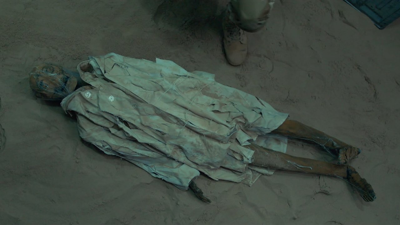 Giant Spider backdrop