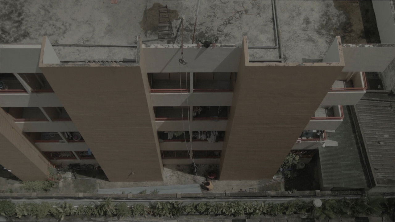 Looking From The Terrace backdrop