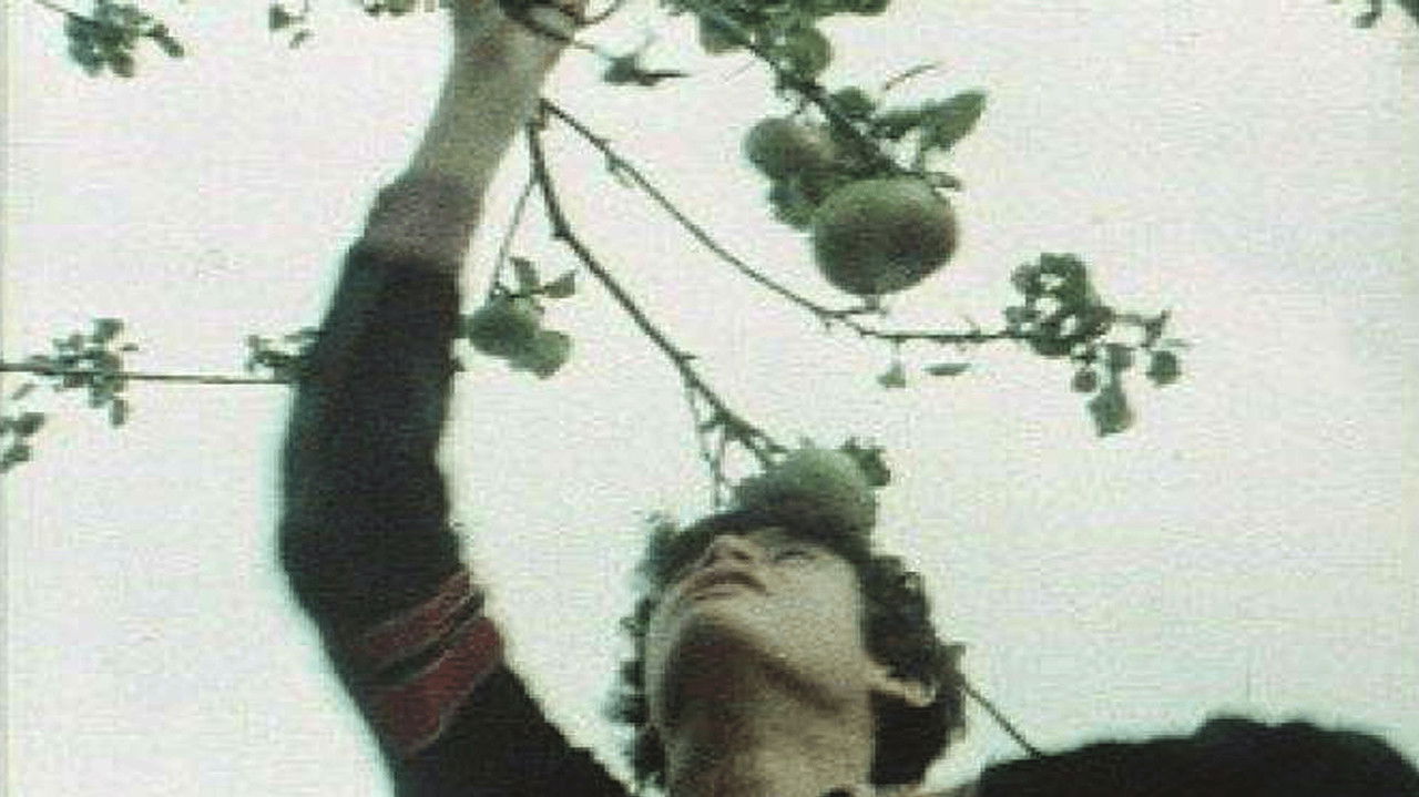 Down the Corner backdrop